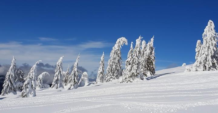 Wilhelmerhutte